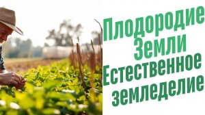 Естественное земледелие.