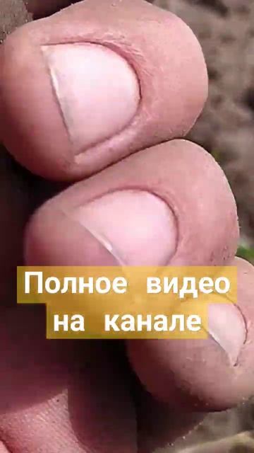 Металлоискатель. Крест 14 век. Коп. Московская область. смотреть онлайн