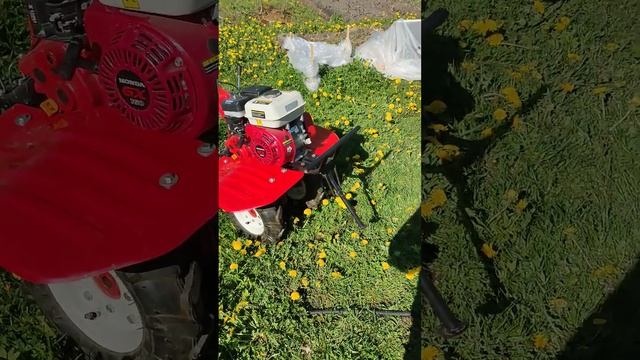 Мотокультиватор бензиновый DDE V700 II H160W смотреть онлайн