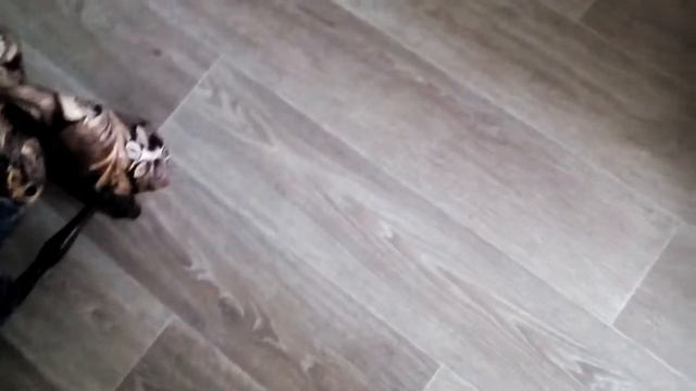 как вызвать балди смотреть онлайн