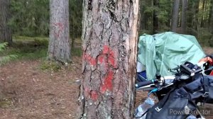 Вело-поход с друзьями в Подмосковье 🍁🍂🚴🏕️