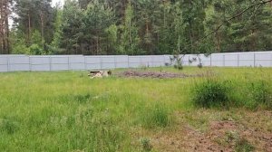 Костылево 77