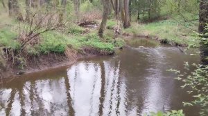 Minelab X Terra Elite. Искал старину по Шуберту, нашёл современн