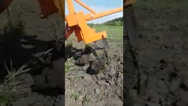 ВЫКАПЫВАНИЕ ЧЕСНОКА КУЛЬТИВАТОРОМ ТМЗ РЕСУРС смотреть онлайн