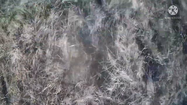 Наземная тренировка. Часть 4. Учусь держать крыло над г