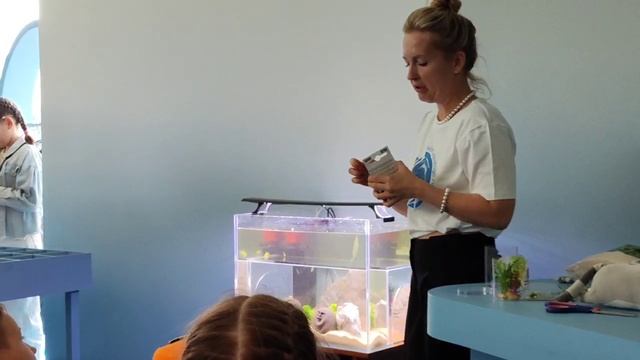 Мастер-класс по оформлению котариума (аквариума для кота) смотреть онлайн