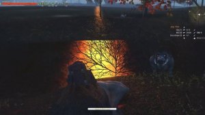 Фарм В Черном Лесу Stalker Online (Stay Out)