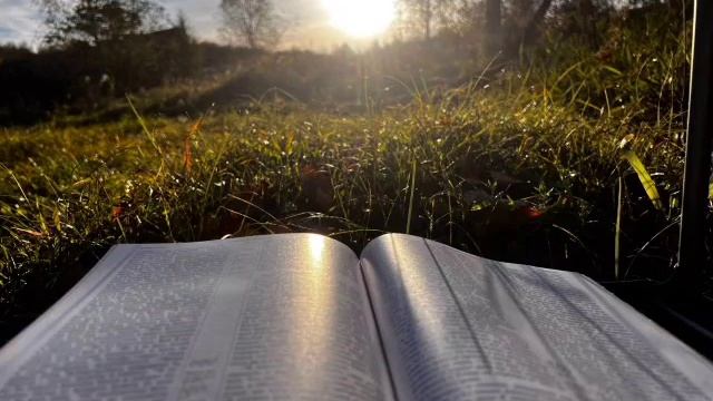 Библия, Евангелие от Луки, глава 24, стих 52-53 смотреть онлайн