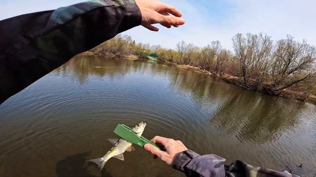 Мормышинг на Nissin Ares Liberate Li510S TZ