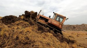 Василий Алексеевич на своем рабочем месте! Заехали в гости на овцеферму! ( ЧАСТЬ 2 )