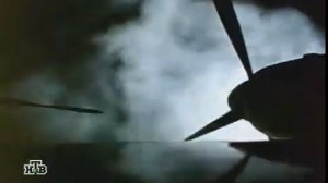 Размах крыльев 1986