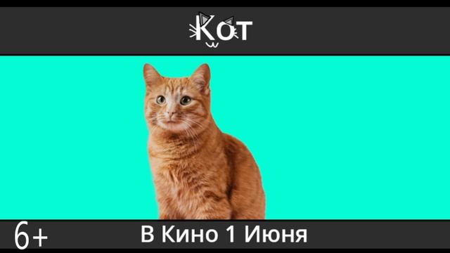 Телеролик Кот Кино (ТВ 15.03.2025)