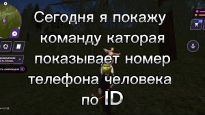 Как найти номер телефона других игроков на матрëшка р?