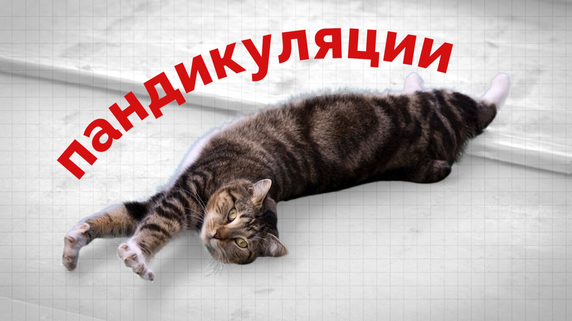 Пандикуляции: главный ритуал утра, о котором ты не знал смотреть онлайн