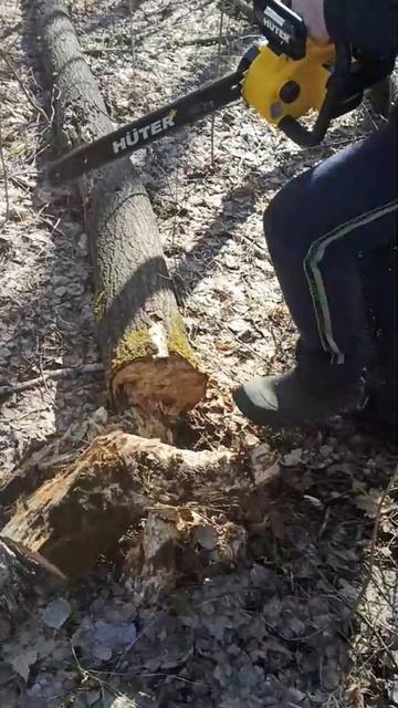 Обзор смотреть онлайн