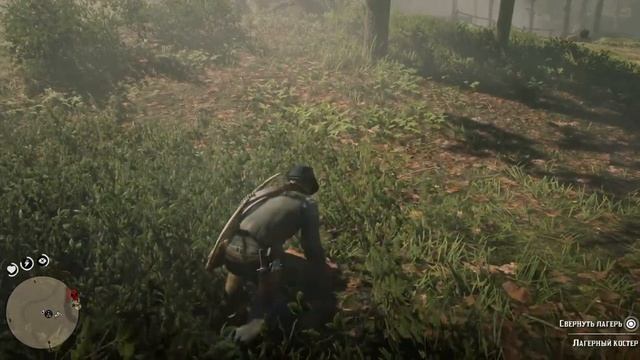 Red Dead Redemption 2_этот мёрфи так хотел погреть свои кости у моего костра...