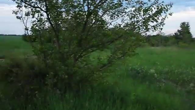 Весенняя прогулка по полям. Слушаю радио