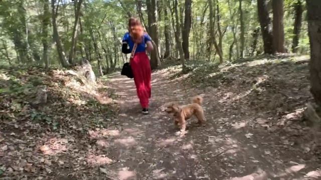 Bulgaria, Austria/ Встреча с семьей, МАМА Варна 🇧🇬 Красивые в