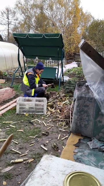 Наш измельчитель🌞🙋♀️😹 смотреть онлайн