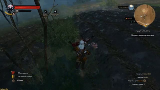 The Witcher 3: Wild Hunt ➤ Contract: Shrieker(Заказ клекотун) №12