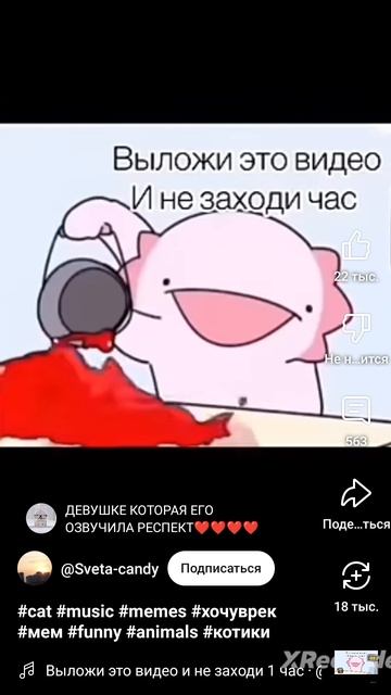 хз мем факт