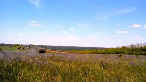 Поезд Бежит В Херсон Летит ТЭП70-0156 №375О Харьков - Херсон