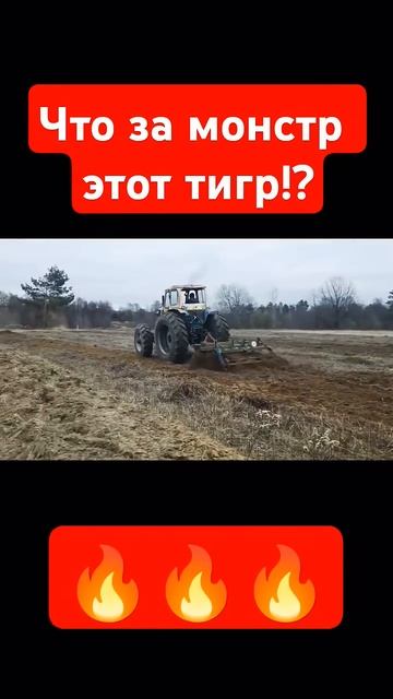МТЗ на очень БОЛЬШИХ колесах 🔥 #тракторист #мтз80 #мтз # смотреть онлайн