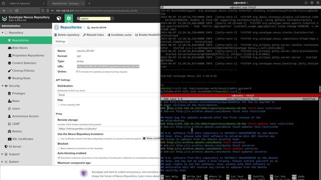 Установка sonatype nexus 3 и настройка proxy apt репозитория для u смотреть онлайн