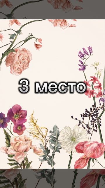 топ 5 грустных шуроповертов смотреть онлайн