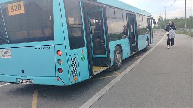 3 июня 2025 г. Автобус 328 маршрут МАЗ-203 8564 Колпино Октябрьская Улица смотреть онлайн