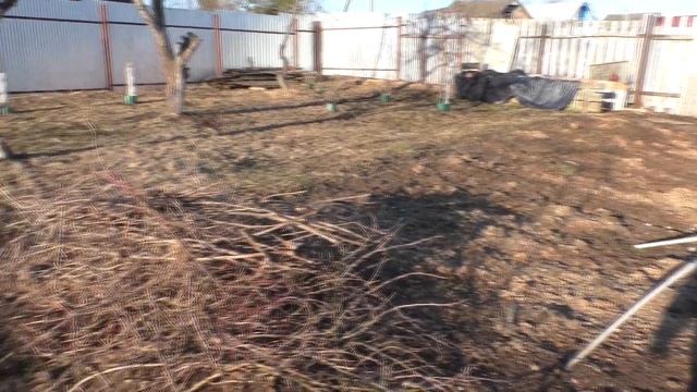 ОБРЕЗКА КУСТОВ И ДЕРЕВЬЕВ В МАРТЕ/ НАЧАЛО НОВОЙ ТЕПЛИЦ