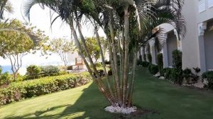 Sunrise Arabian Beach Resort 5* обзор номерного фонда и территории о