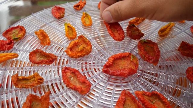How To Cook Tomato Slices With OLIVE OIL And Thyme \ Вяленые томаты в оливков?