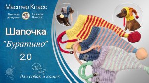 Шапочка "Буратино2.0", для собак и кошек, новая версия