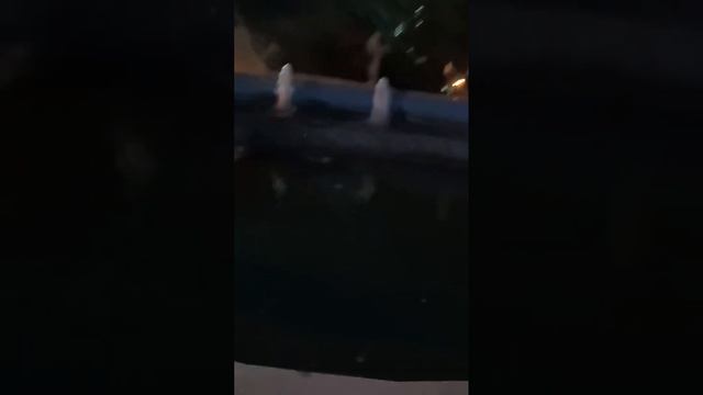 поездка Тихорецк-Краснодар