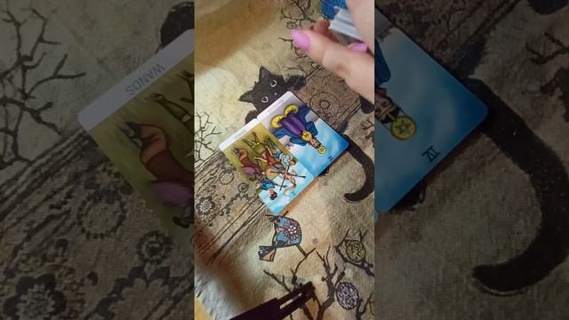ЧТО ЖДЕТ НА СЛЕДУЮЩЕЙ НЕДЕЛЕ смотреть онлайн