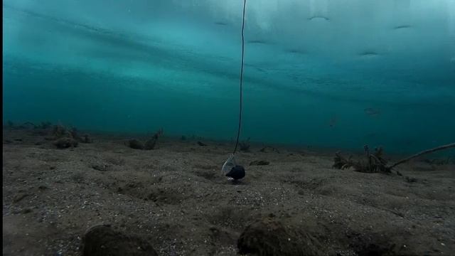 Рыбалка Братское водохранилище Молька подледная съемка ловли рыбы 19.02.16- ч.2 смотреть онлайн