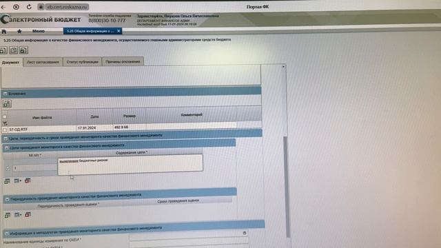 Формуляр 5.25 «Общая информация о качестве финансового смотреть онлайн