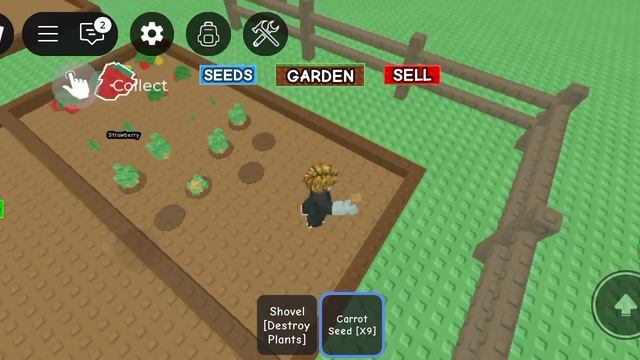 вырасти сад