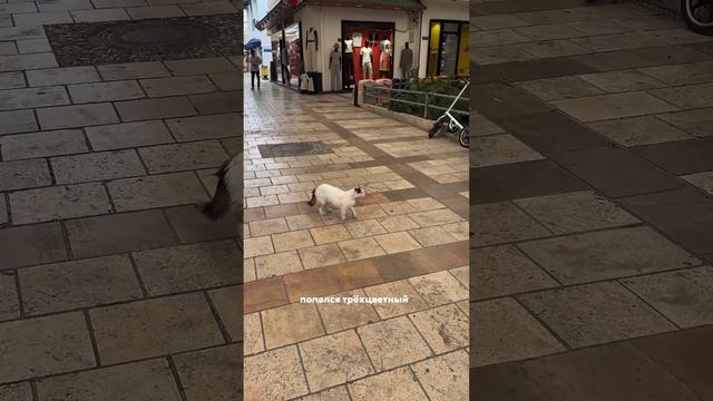 Bodrum - что посмотреть?