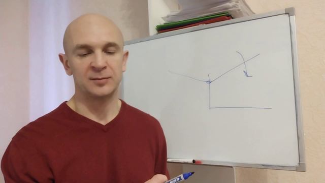 Анализ исследования машущего крыла с датчиками давле?