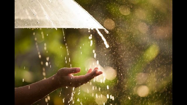 ЛЮБОВЬ МОЯ ЕЩЕ ЖИВА - Жанна Вишнякова Арс смотреть онлайн