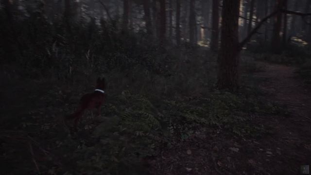 Прохождение. Blair Witch - Привет, дружок. #1 смотреть онлайн