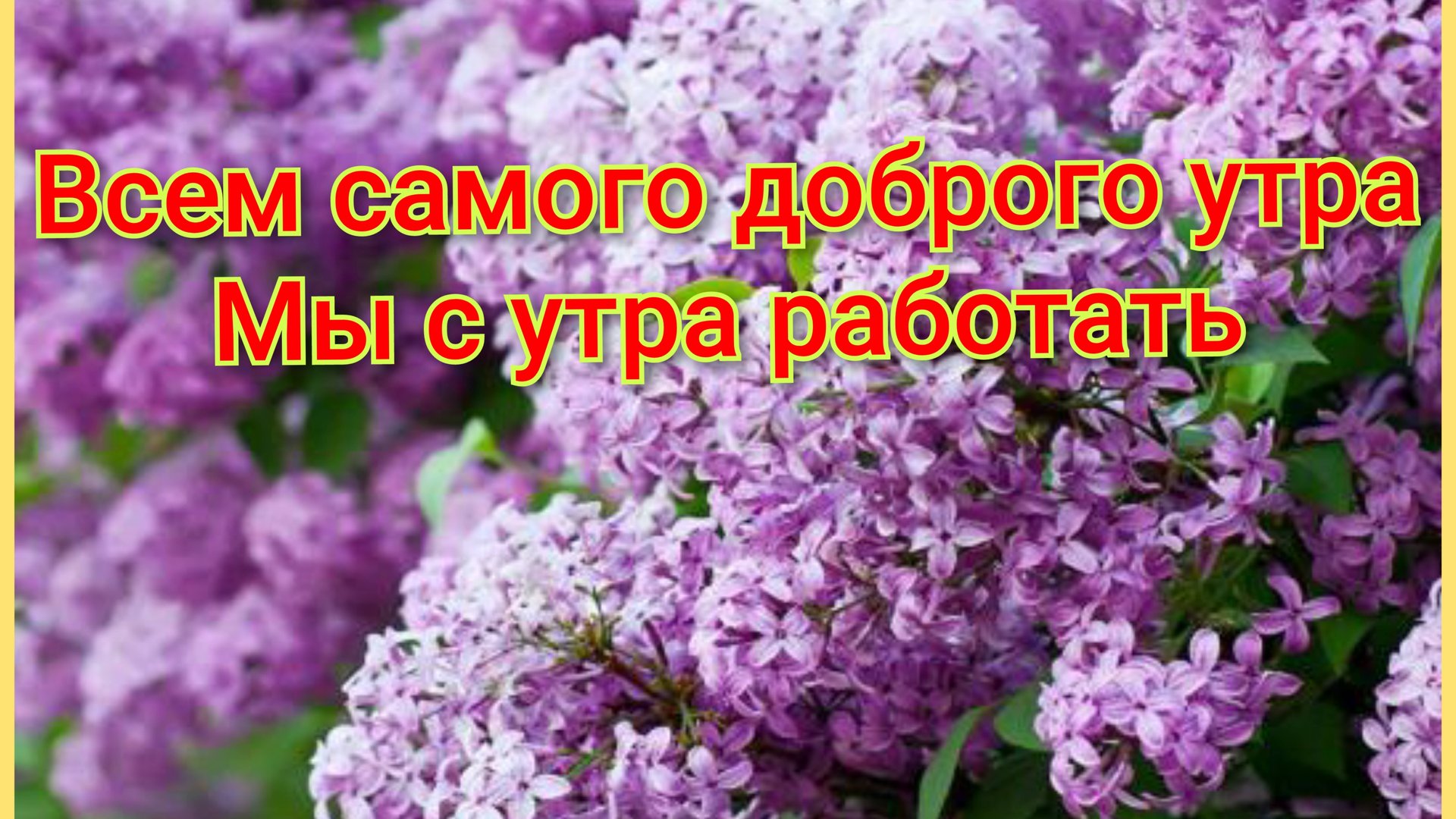 Всем доброе утро,ждут нас великие дела 🍒🍓🌿🍉🏡 смотреть онлайн
