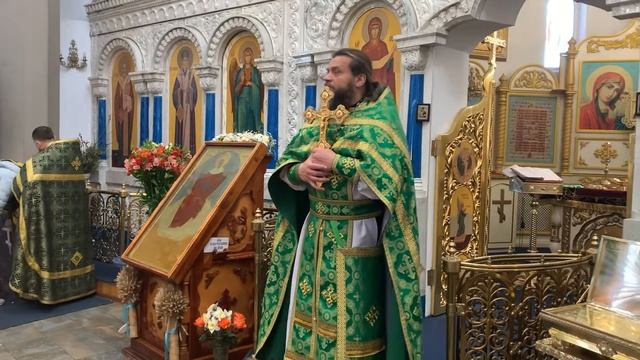 Вход Господень в Иерусалим. Вербное Воскресение. Неде?