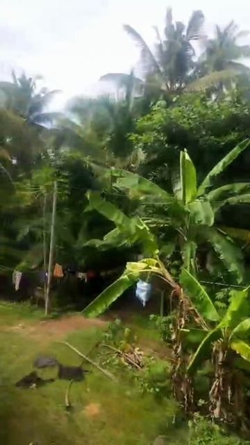 Красивый вид смотреть онлайн