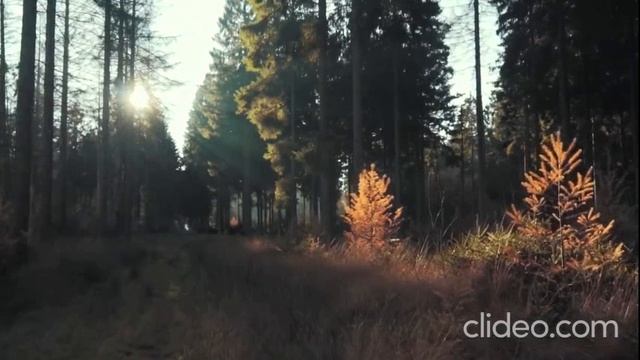 реальные истории. дом на костях и маленькие человечки..гномы смотреть онлайн