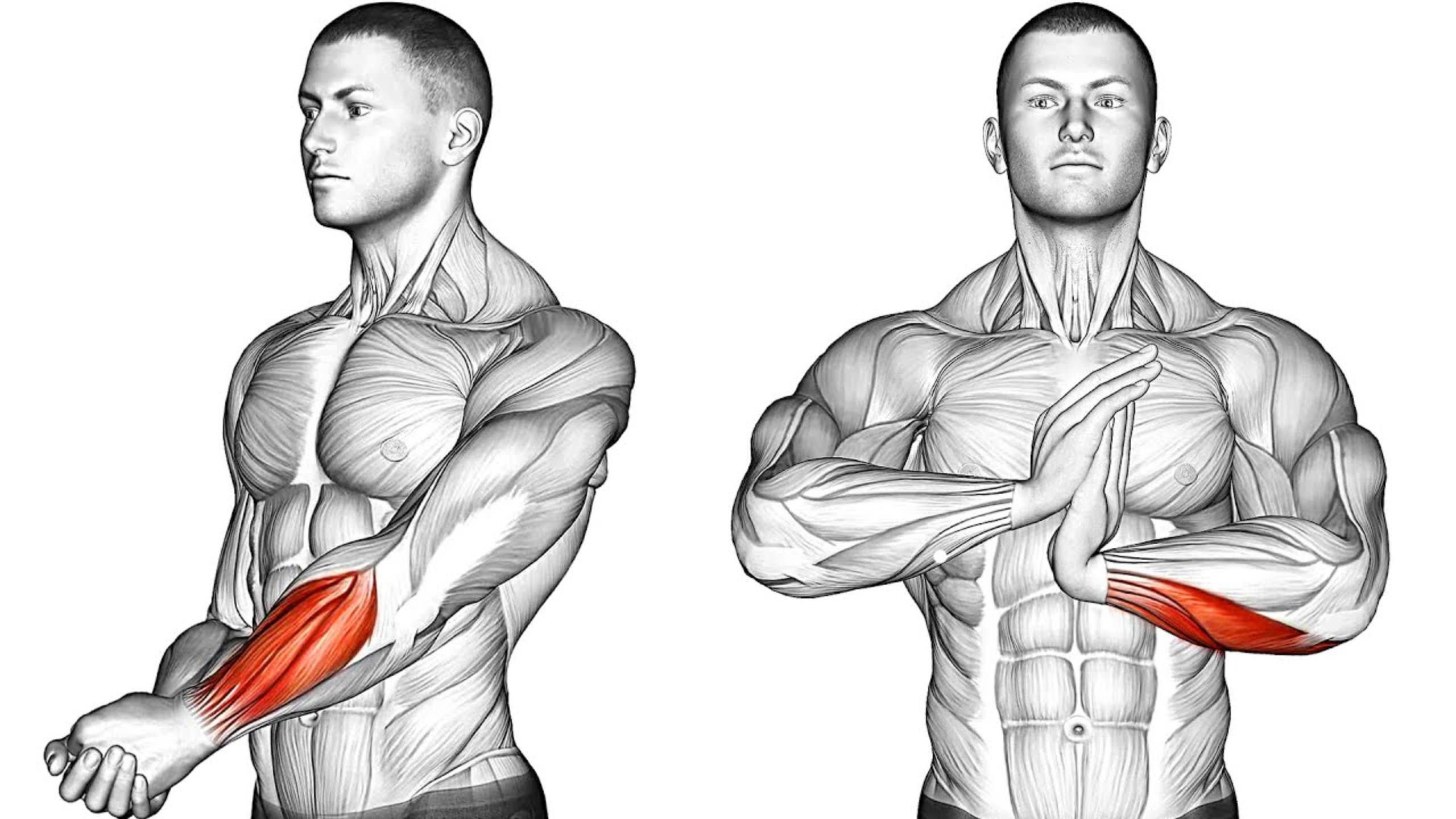 Увеличьте Силу Хвата и гибкость Запястий смотреть онлайн
