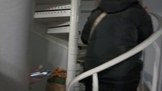 Фестиваль тюльпанов «Весна на высоте» 2025 на Думской б?