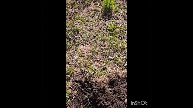 бубинец!!!!!!!! смотреть онлайн